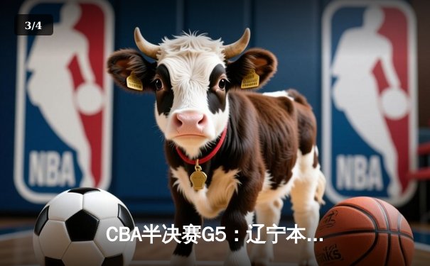 CBA半决赛G5：辽宁本钢加时逆转广东宏远 赵继伟33+9+6率队挺进总决赛 - 3