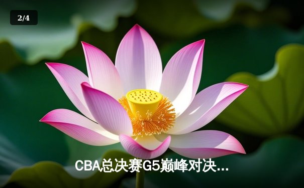 CBA总决赛G5巅峰对决：辽宁本钢加时险胜广东宏远 赵继伟三分雨浇灭卫冕冠军 - 2